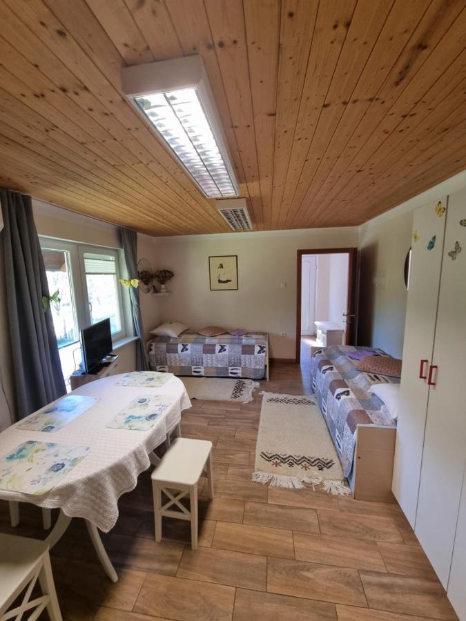 Dobra Hisa Zdravja Cicarija Hotel Golac Екстериор снимка