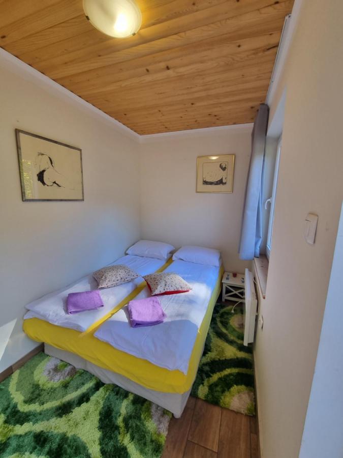 Dobra Hisa Zdravja Cicarija Hotel Golac Екстериор снимка
