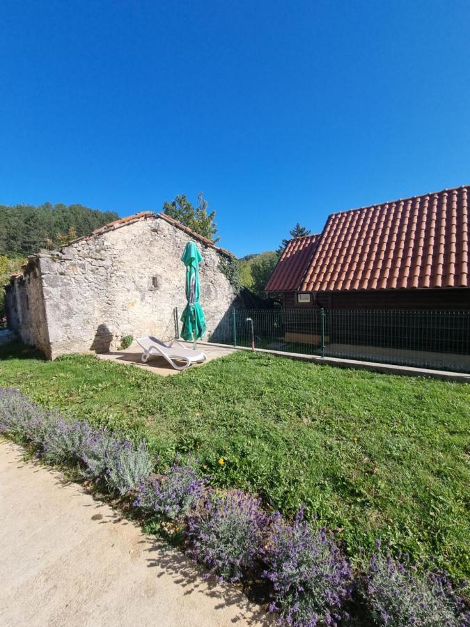 Dobra Hisa Zdravja Cicarija Hotel Golac Екстериор снимка